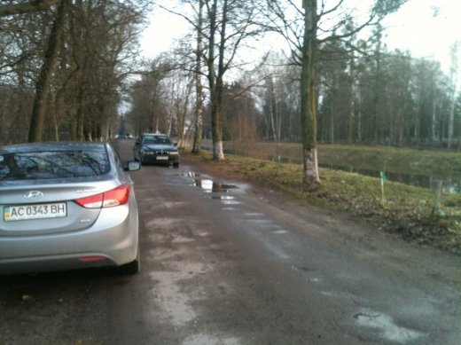 Як дбають про чисте повітря у парку Лесі Українки